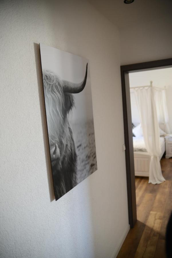 Ferienwohnung Die Alte Schule 다운 외부 사진